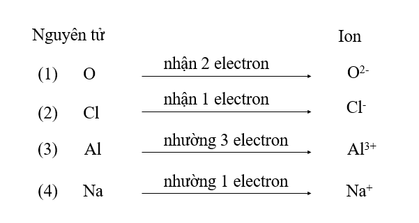 Cấu Hình Ion: Khái Niệm, Cách Viết và Ứng Dụng