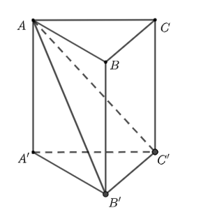 Các ví dụ về hình lăng trụ đứng tam giác vuông trong thực tế là gì?