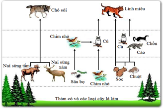 Giả sử sự thay đổi sinh khối trong quá trình diễn thế sinh thái của 4 quần  xã sinh vật được mô tả ở các hình I II III và IVTrong 4