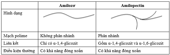 amilozo-amilopectin.png
