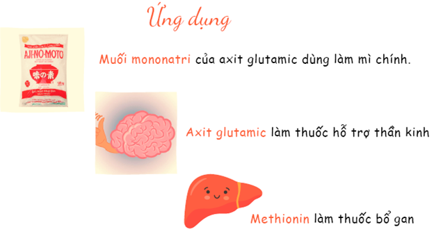 Muối Mononatri của Axit Glutamic: Tác Dụng và Ứng Dụng Trong Đời Sống