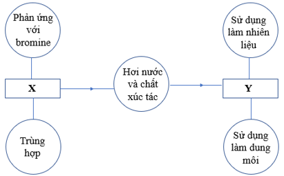 Hai Hợp Chất Hữu Cơ X và Y