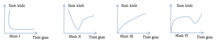 Bài 55 Khái niệm và các đặc trưng cơ bản của quần xã  PHƯƠNG PHÁP DẠY HỌC  SINH HỌC LỚP 12